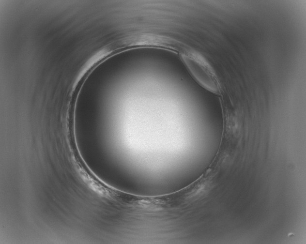X0000078881138200611201404