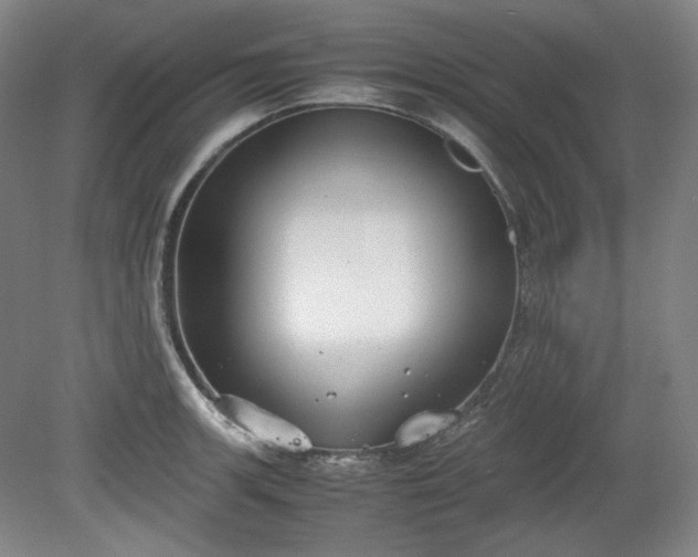 X0000078881139200611201404