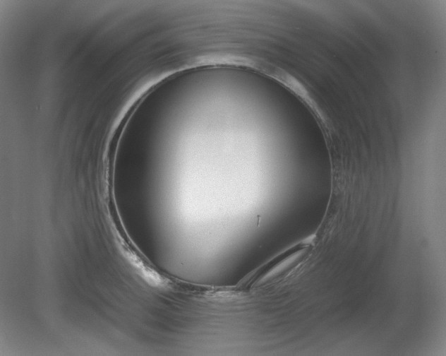 X0000078881140200611201404
