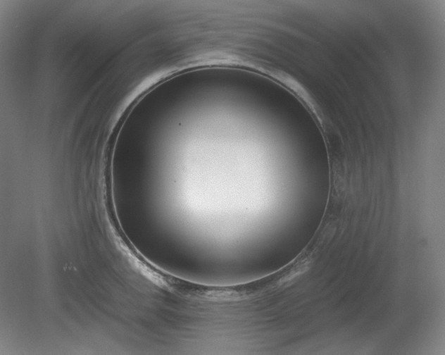 X0000078881142200611201404