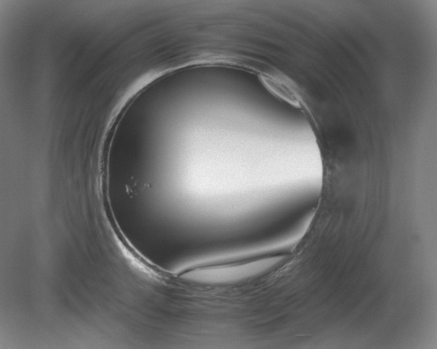 X0000078881143200611201404