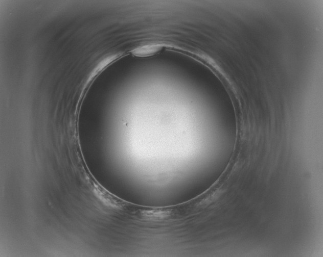 X0000078881145200611201404