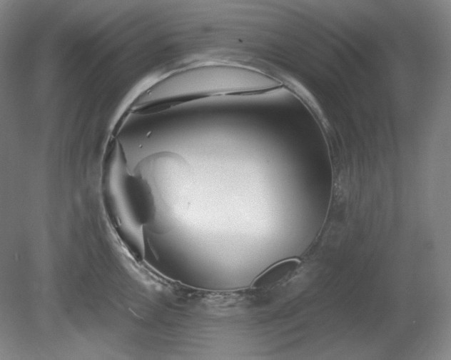 X0000078881146200611201404