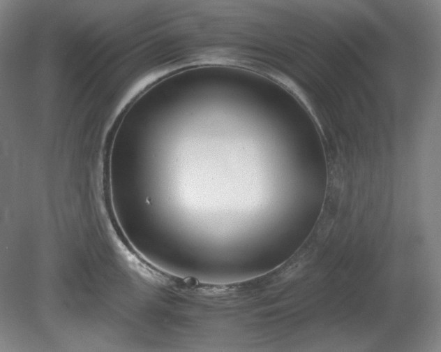 X0000078881147200611201404