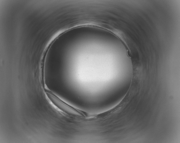 X0000078881151200611201404