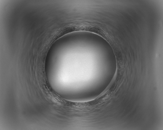 X0000078881153200611201403