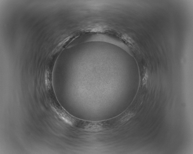 X0000078881156200611201403