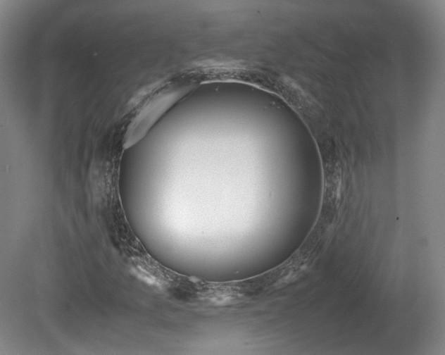 X0000078881157200611201403