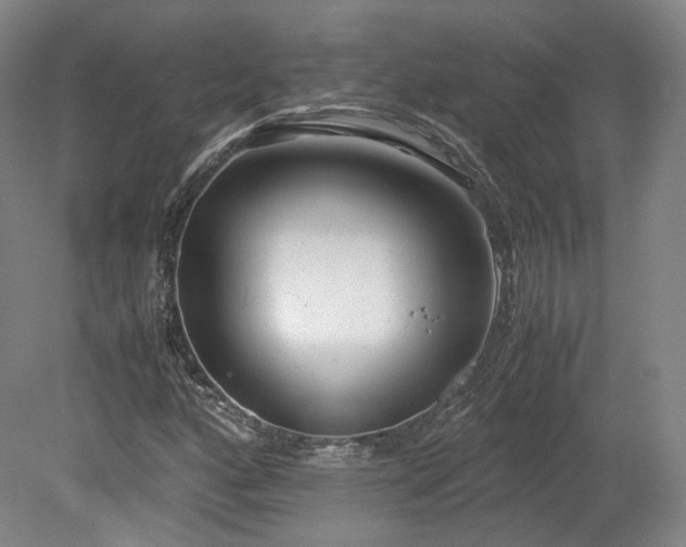 X0000078881160200611201403
