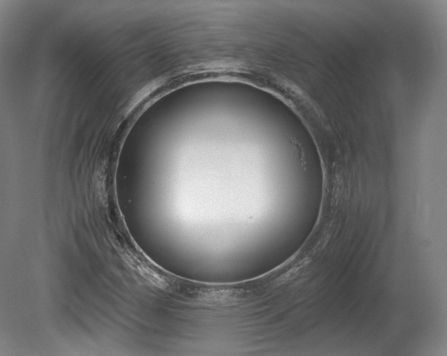 X0000078881162200611201403
