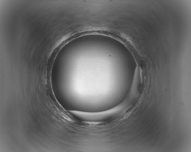X0000078881165200611201403