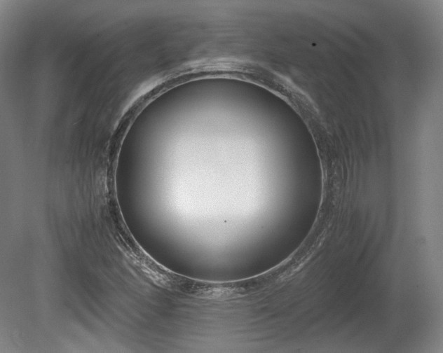 X0000078881166200611201403