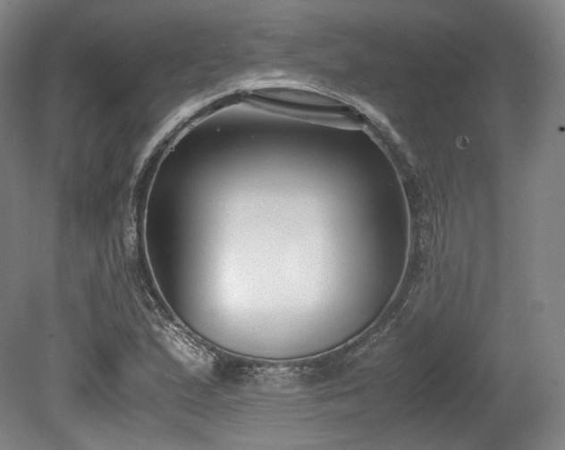 X0000078881167200611201403