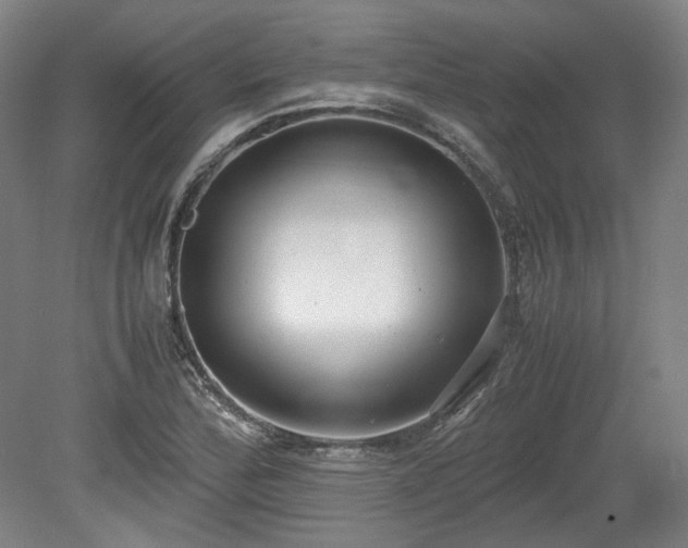 X0000078881172200611201403