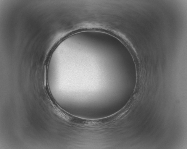 X0000078881175200611201403