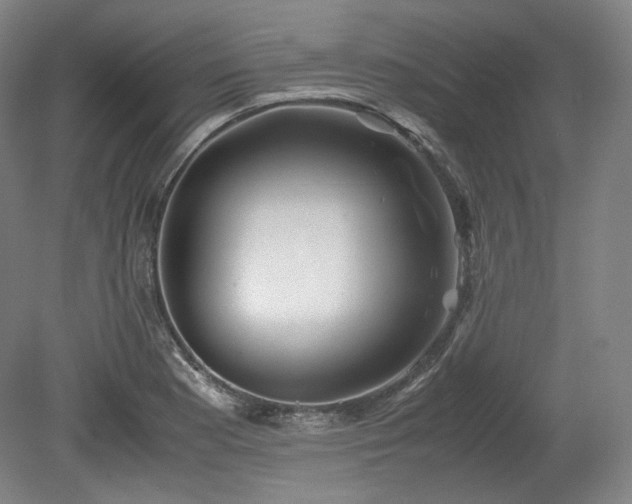 X0000078881177200611201403