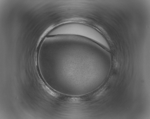 X0000078881180200611201403