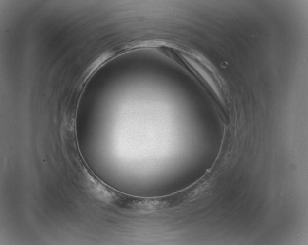 X0000078881193200611201402