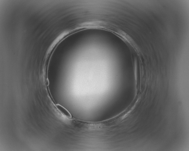 X0000078881196200611201402