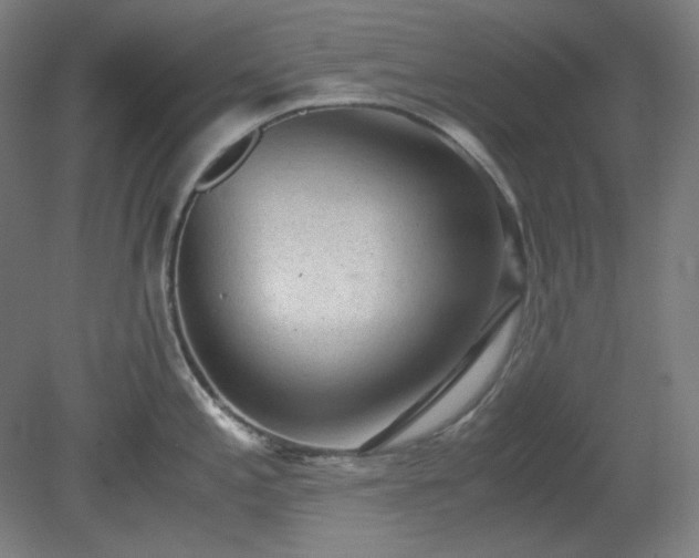 X0000078881197200611201402