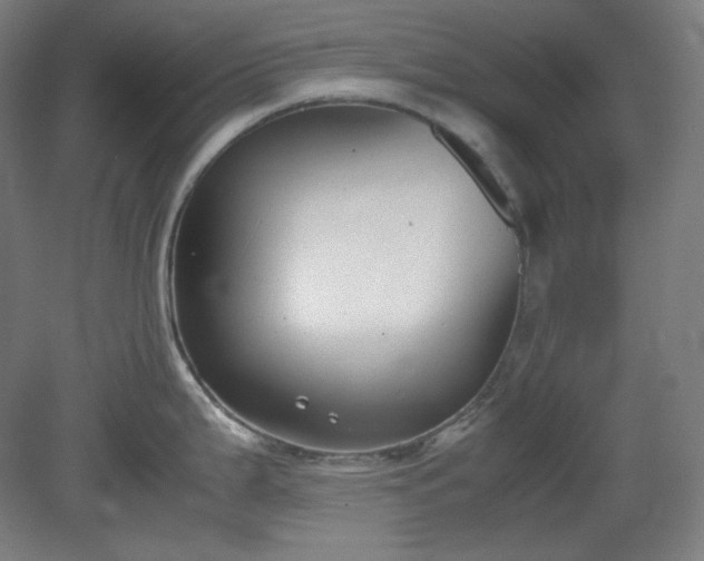X0000078881199200611201402