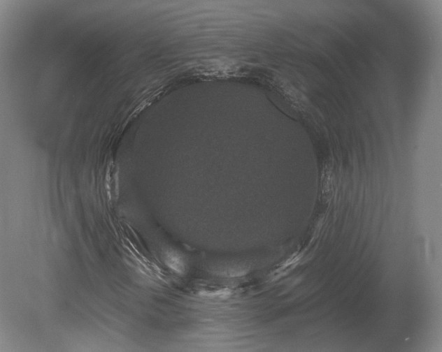 X0000078881202200611201402