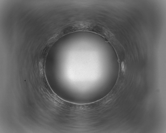 X0000078881203200611201402