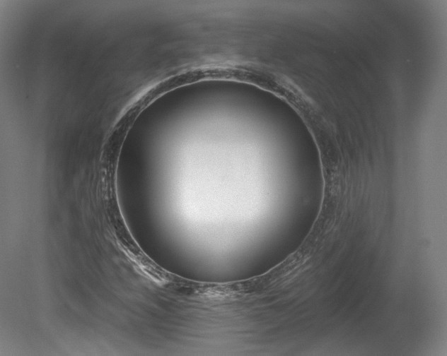 X0000078881208200611201402