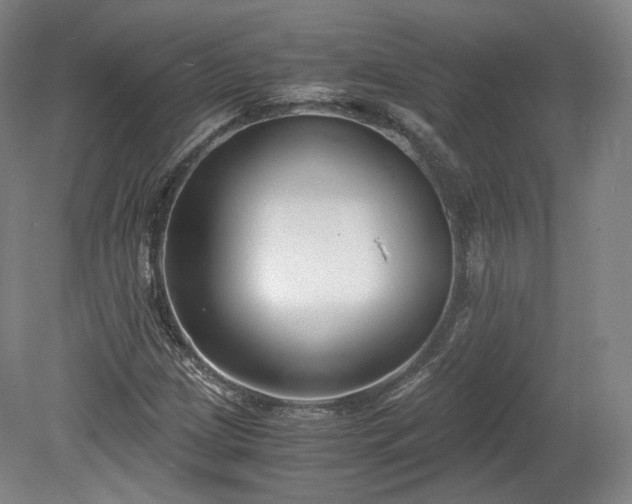 X0000078881209200611201402