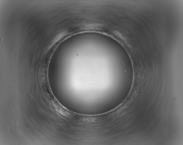 X0000078881211200611201402