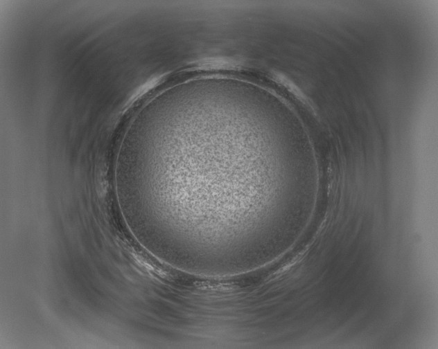 X0000078881213200611201402