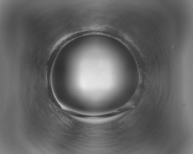 X0000078881214200611201402