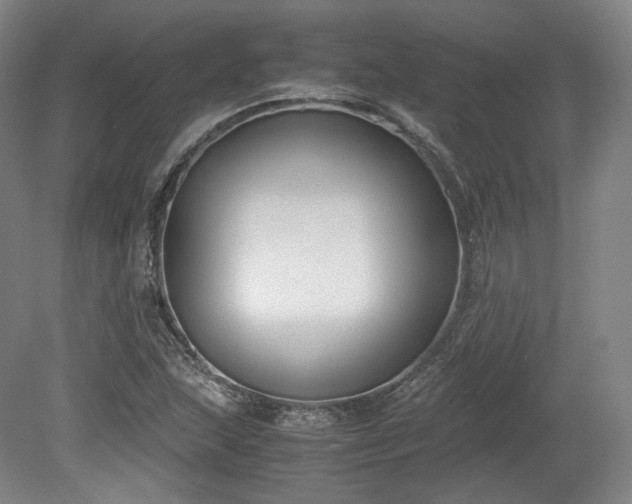 X0000078881215200611201402