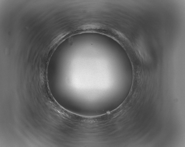 X0000078881217200611201402