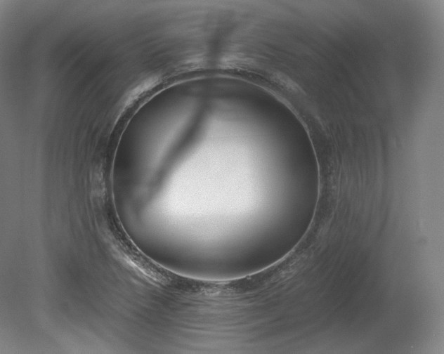 X0000078881218200611201402