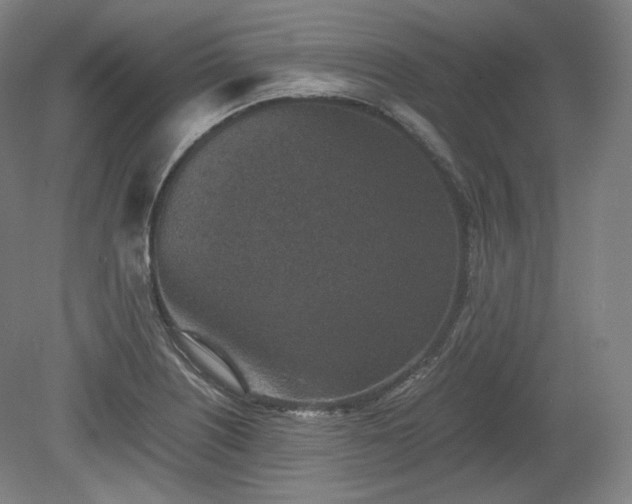 X0000078881226200611201402