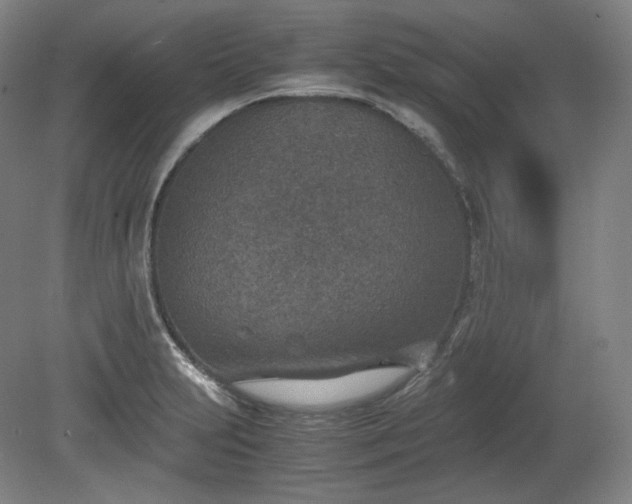 X0000078881231200611201402