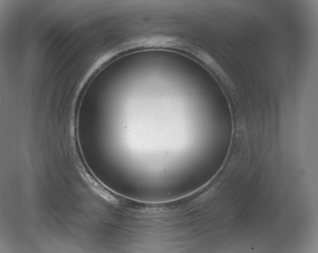 X0000078881232200611201402