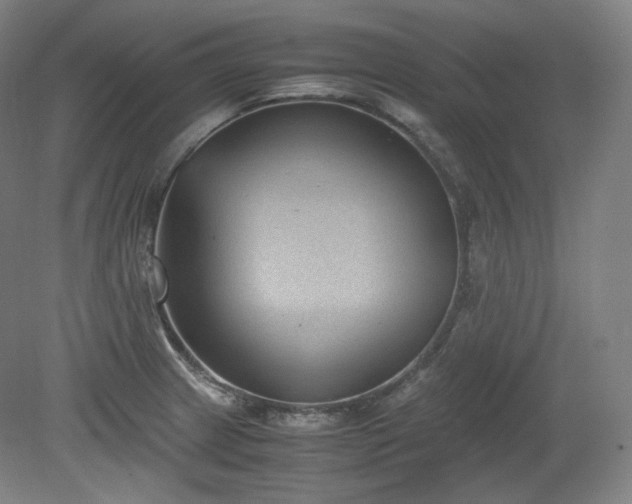 X0000078881233200611201402