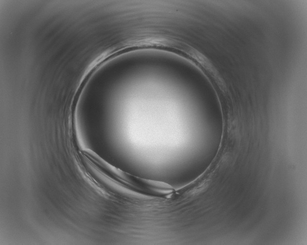 X0000078881234200611201402