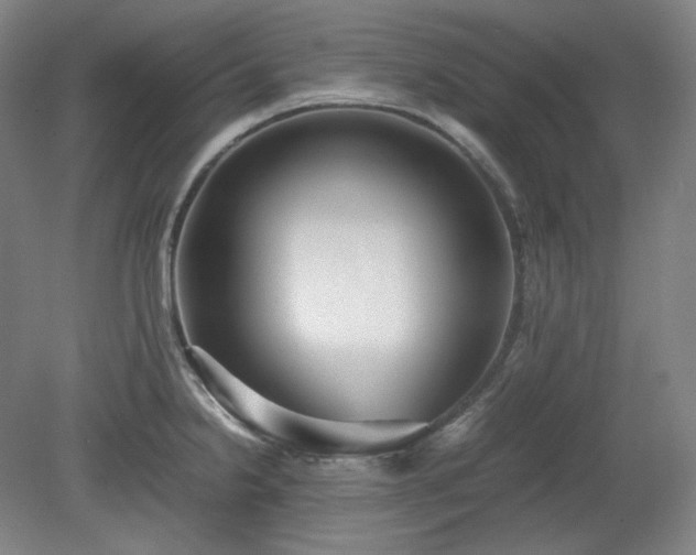 X0000078881238200611201402