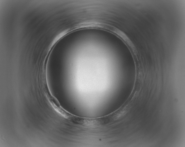 X0000078881242200611201402