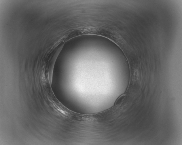 X0000078881250200611201401