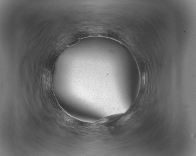 X0000078881251200611201401