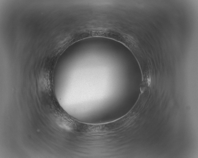X0000078881252200611201401