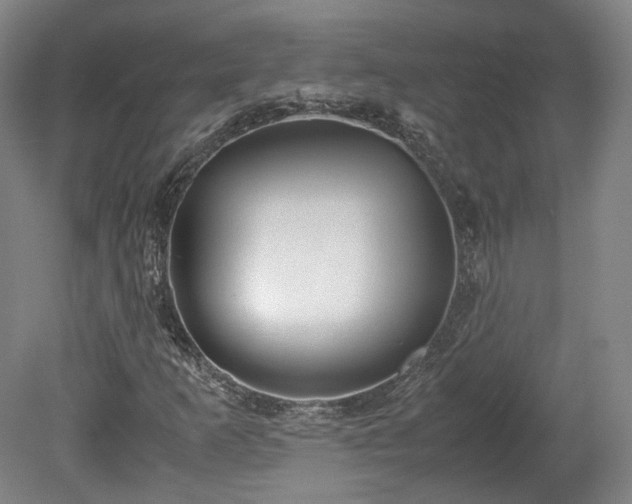 X0000078881253200611201401