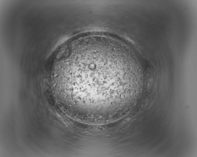 X0000078881255200611201401