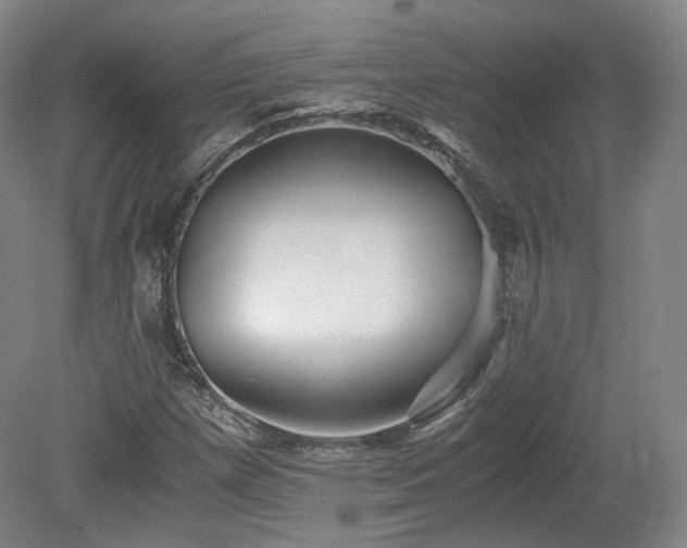 X0000078881257200611201401