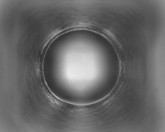 X0000078881260200611201401