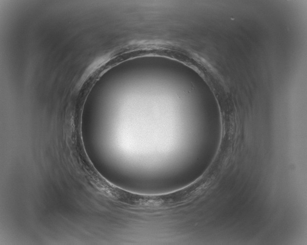 X0000078881261200611201401